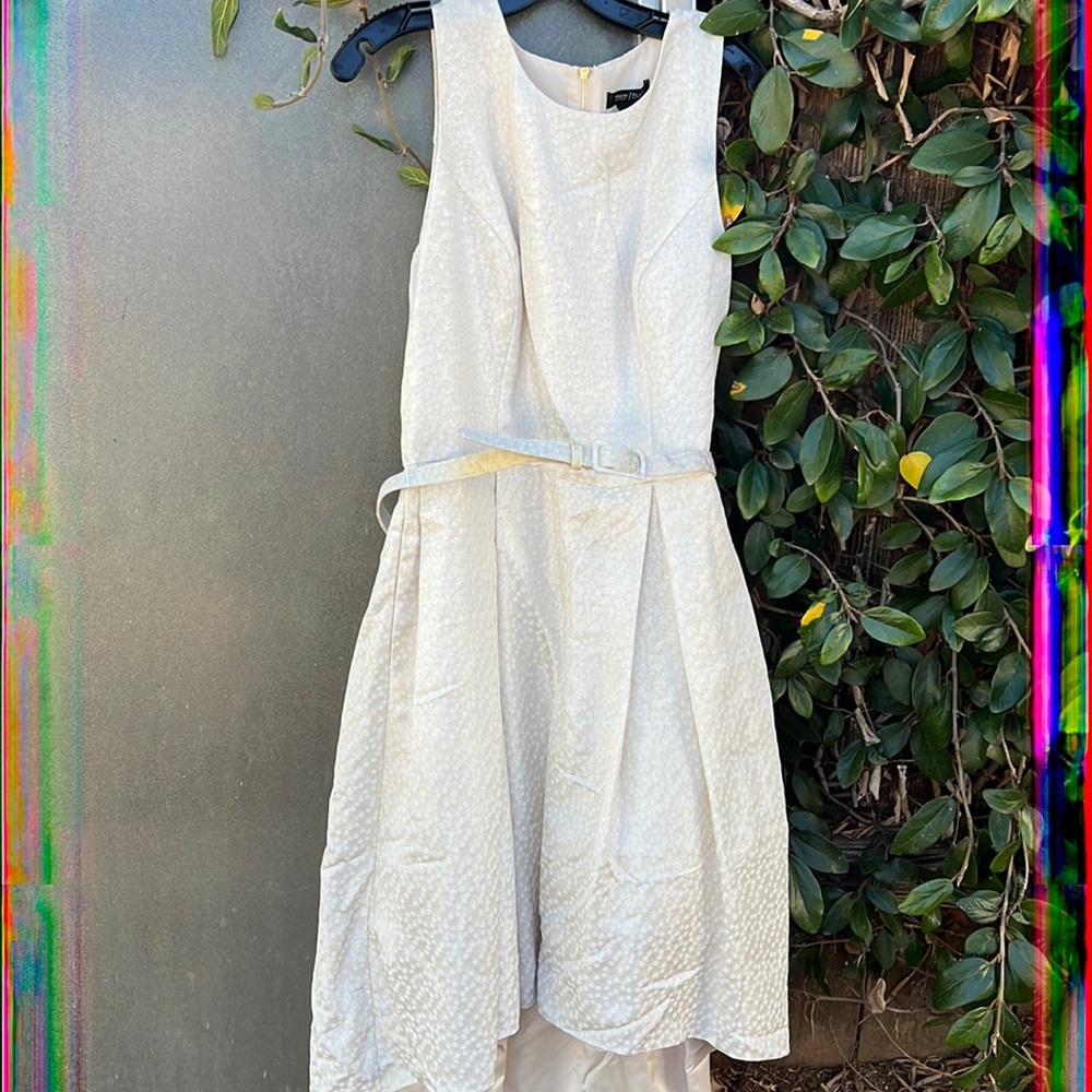 Ann Taylor white Champagne polka dot color dress